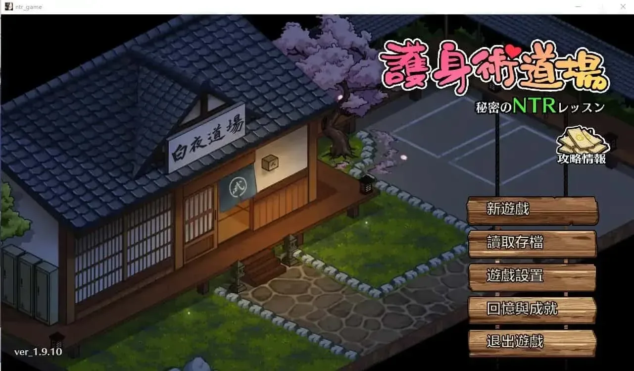 护身术道场 运行配置 画面