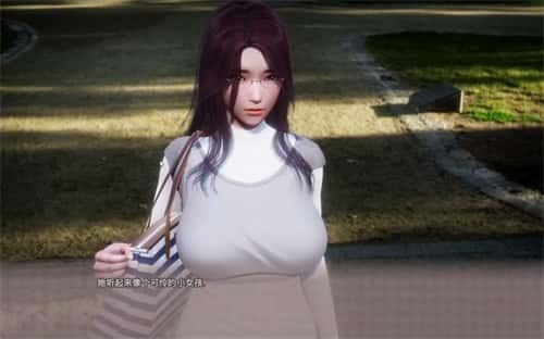 美德V外传 视觉小说 资料图 8